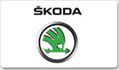 1103 Strade bianche Skoda