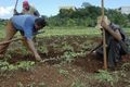 Comment cuba a survécu au peak oil