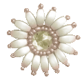 Fleur2