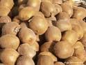 Kiwis