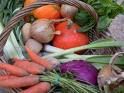 panier de legumes