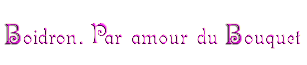 BoidronParamourdubouquetVioletRelief