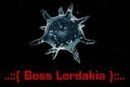 boss lordakia