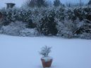 photos décembre 2009 023