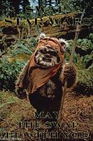 ewoks-swap-logo.jpg