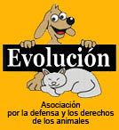 logo_evolucion.jpg