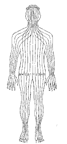 ZONES