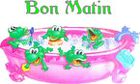 bon matin grenouilles