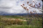 paysages-de-haute-provence (4)