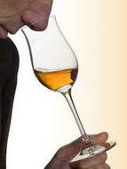 Cognac degustation 11