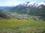 100 1004 vue sur monétier au printemps