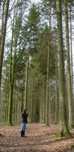 ardenLALOBBE-012.jpg