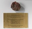 Musée d'Amsterdam : la pierre prétendumment rapportée de la lune n'est qu'un bout de bois fossilisé