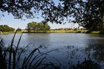 Etang Creux des Renards Noironte