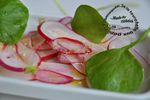 salade radis pourpier logo