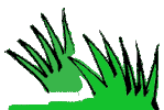 herbe-verte-dessin