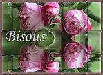bisous-roses.jpg
