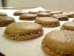 coques macarons 4