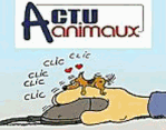 ACTUANIMAUX.gif