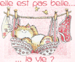 chat-elle-est-pas-belle-la-vie