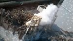 Thick-Smoke-800_fukushima_dai_ichi_nucle