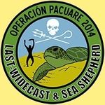 societe civile seashepherd tortue