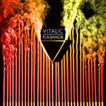 Vitalic---Flashmob.jpg