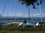 http://img.over-blog.com/150x150/5/08/36/30/Italie/GEDC5682.JPG
