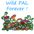 wildpal9-copie-1.png