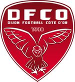 Logo DFCO web