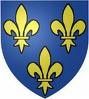Armoirie de IDF