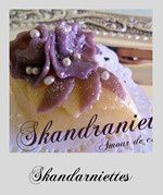 skandraniette gateau moderne