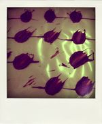 31.03.10--44--pola.jpg