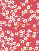 1033 B - Mitsi - rose