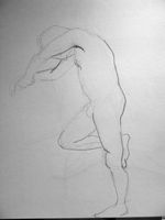 janvier 2010 063
