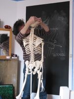 Les-ateliers_6575.jpg