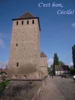 DSCN8799
