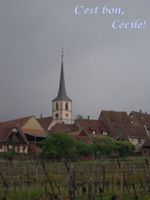 DSCN9217