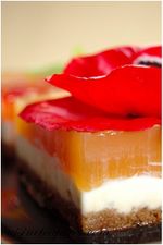 Cheesecake sans cuisson Menthe Melon Trio 3