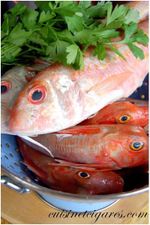 Couscous de poissons TRIO 3
