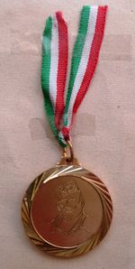 medaglia-brigata-Garibaldi.JPG