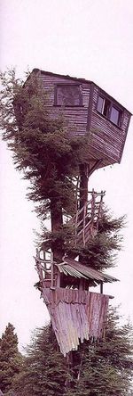 cabane dans un arbre
