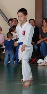 Mon-fils-cest-le-karate 0306