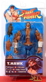 068-T.Hawk Reg Round 2 Sota Toys