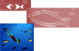 thalassa1.png
