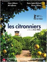 les_citronniers.jpg
