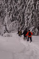 2011-12-19 Le Chenavier 05