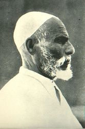 393px-Omar_M1103-421c3.jpg