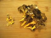 Chanterelles01.JPG