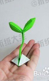 plante-origami.jpeg